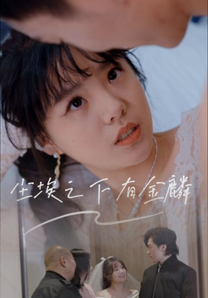尘埃之下有金鳞（60集）全剧看到大结局