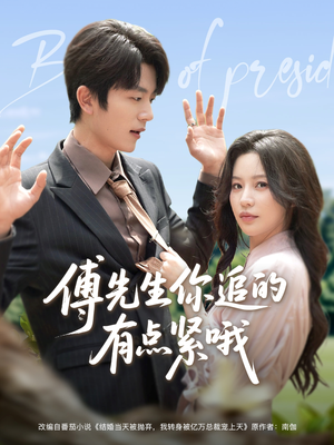 傅先生你追的有点紧哦（95集）在线看完整版