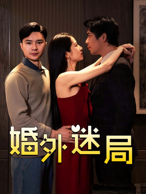 婚外迷局（28集）短剧介绍