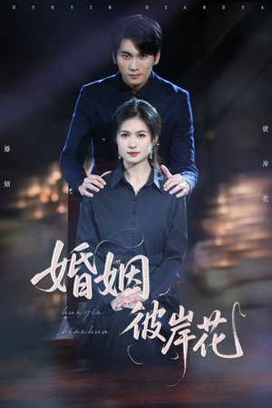 婚姻彼岸花（63集）短剧太好看