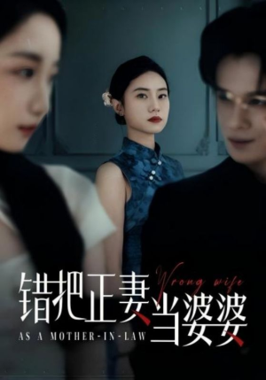 错把正妻当婆婆（46集）短剧热门推荐