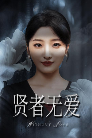 贤者无爱（42集）精彩短剧看不停