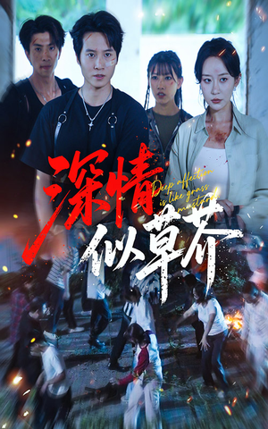 深情似草芥（51集）精彩短剧又来了