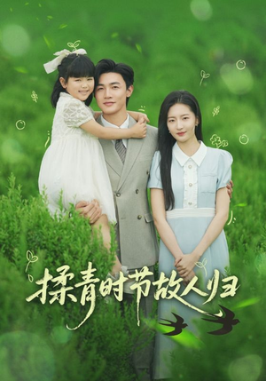 揉青时节故人归（60集）快来看短剧