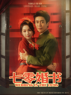 七零婚书（67集）免费看短剧全集