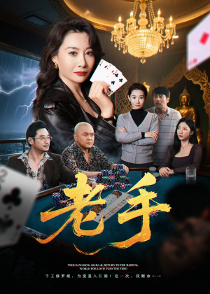 老手（36集）上热门短剧