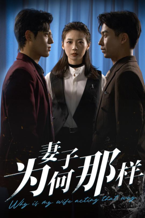 妻子为何那样（60集）精彩短剧热播