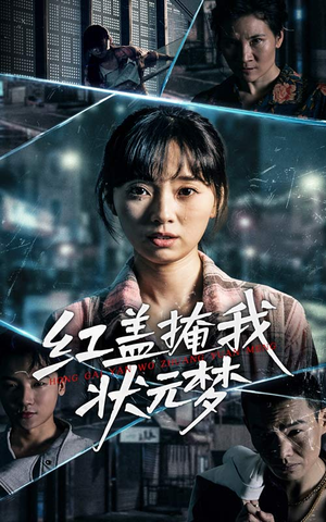 红盖掩我状元梦（44集）全剧免费观看