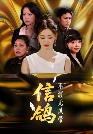 信鸽不渡无风带（65集）热播短剧全集看