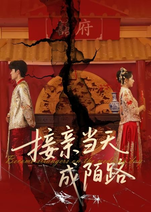 接亲当天成陌路（50集）短剧看全集