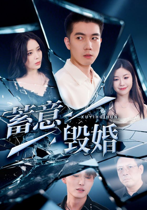 蓄意毁婚（51集）演的怎么样