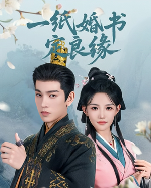 一纸婚书定良缘（106集）经典老剧免费看