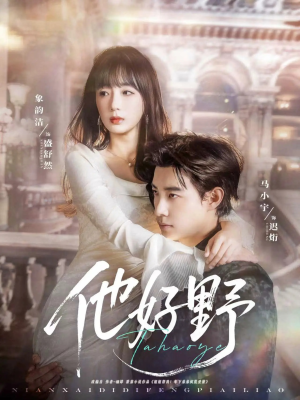 他好野（65集）评价怎么样