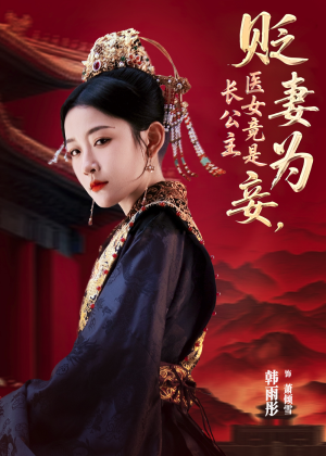 贬妻为妾医女竟是长公主（80集）全集在线看