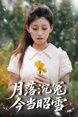月落沉冤今当昭雪（60集）夸克在线观看