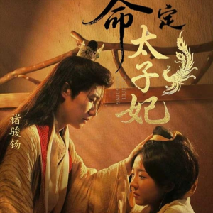命定太子妃（63集）短剧全集完整