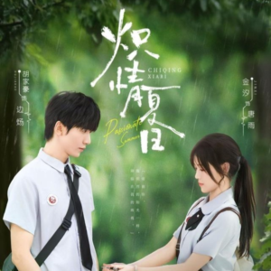 炽情夏日（80集）热播短剧全集看