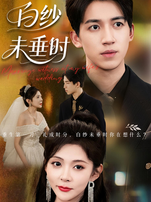 老婆婚礼，我当证婚人&老婆婚礼我当证婚人&白纱未垂时（54集）全集一网打尽
